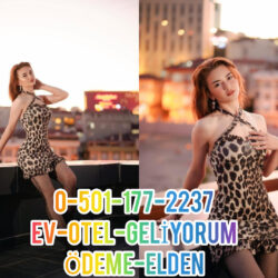 Tekirdağ Gecelik Escort